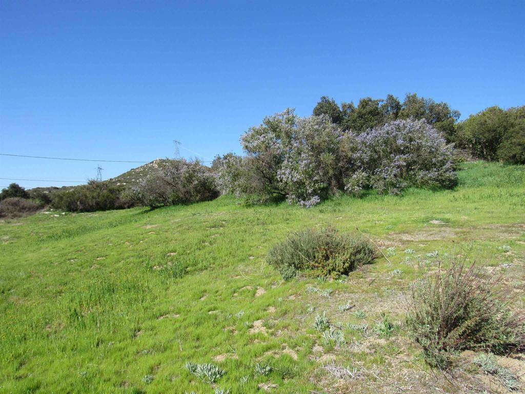 Campo, CA 91906,1899 Lake Morena DR