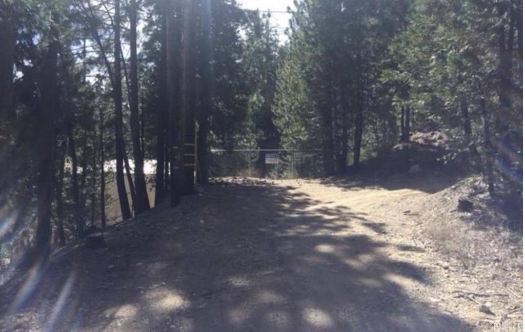 Cedar Glen, CA 92385,Stonehill DR