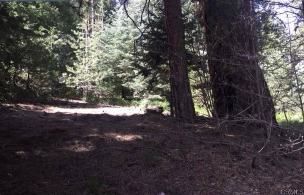 Cedar Glen, CA 92385,Stonehill DR