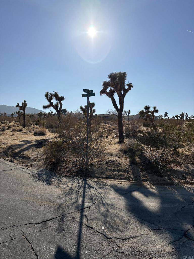 Joshua Tree, CA 92252,0 Division ST