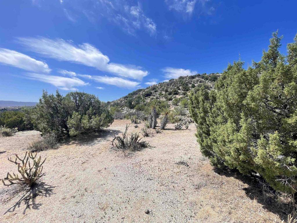 Jacumba, CA 91934,16 .44 Acres Boundary Creek