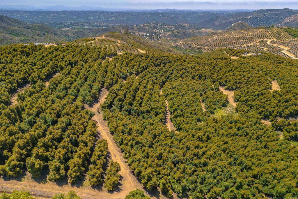 Temecula, CA 92590,45000 Rancho Fallbrook RD