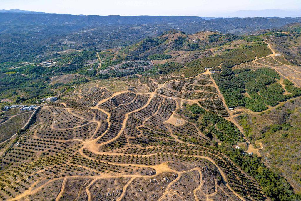 Temecula, CA 92590,45000 Rancho Fallbrook RD