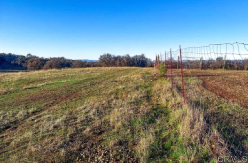 Kelseyville, CA 95451,8500 Wight WAY