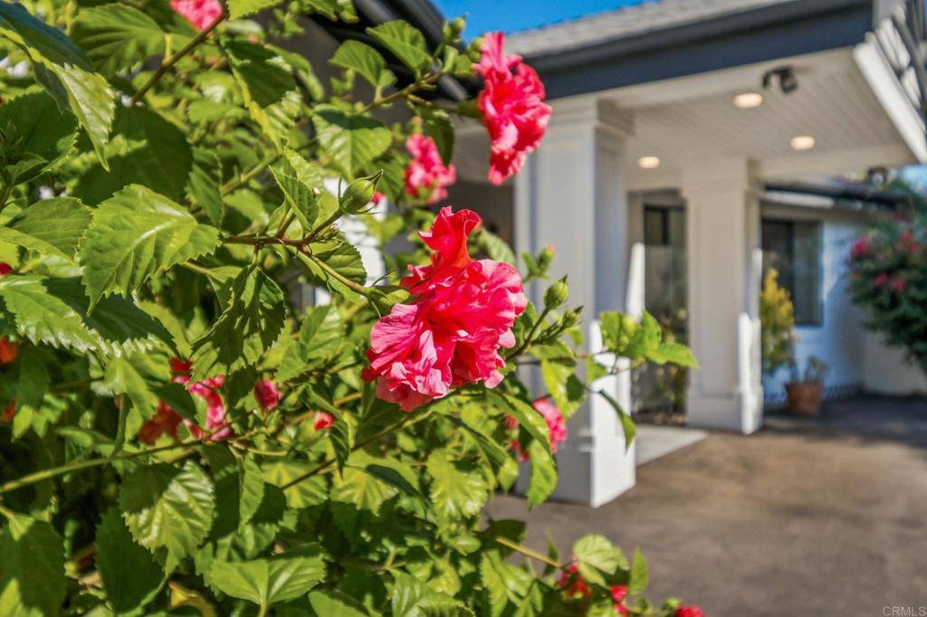 Escondido, CA 92029,1051 Via Rancho Pkwy