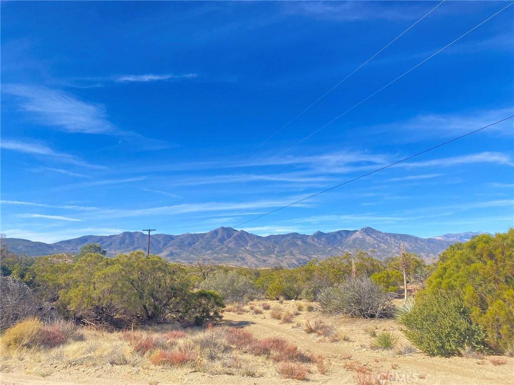 Pinyon Pines, CA 92561,0 Palm Canyon Dr.