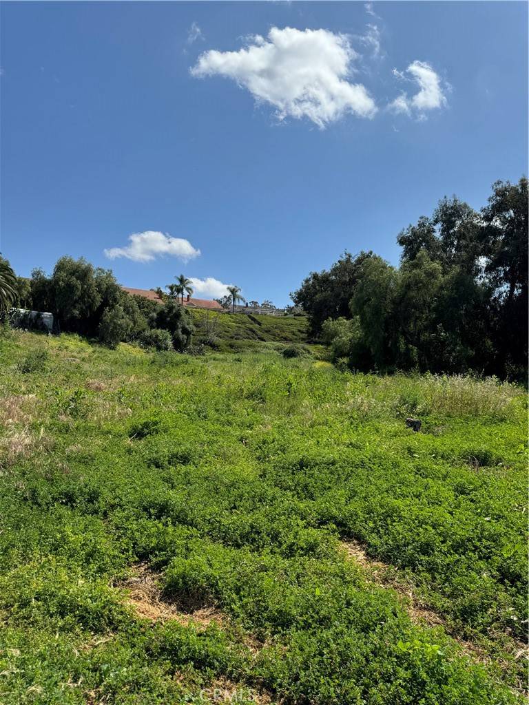 Anaheim Hills, CA 92807,441 S Peralta Hills DR