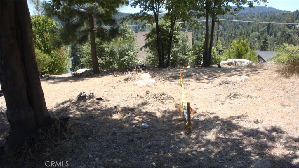 Lake Arrowhead, CA 92352,26715 Merced LN