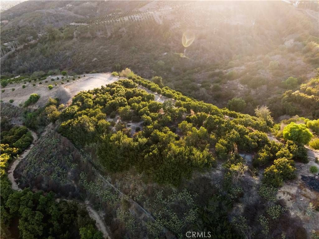 Somis, CA 93066,4305 Groves PL