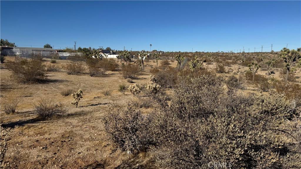 Yucca Valley, CA 92284,0 Yucca Mess