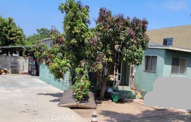 San Ysidro, CA 92173,229 Cottonwood RD