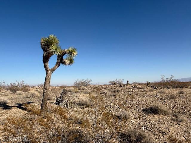 Joshua Tree, CA 92252,2160 Juniper Ave.