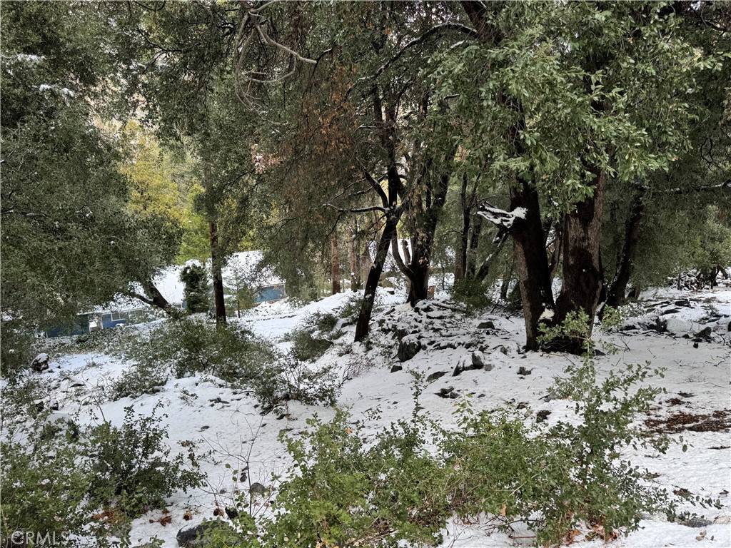 Forest Falls, CA 92339,39480 Prospect DR