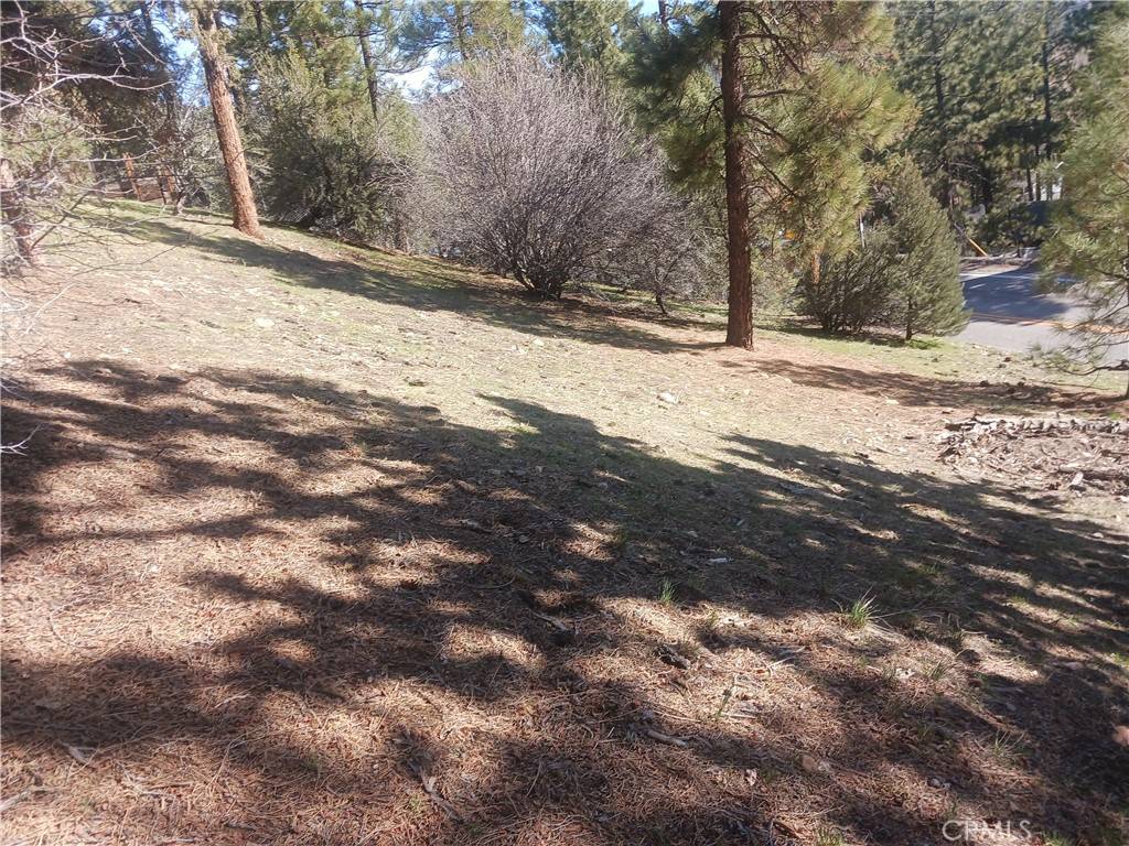 Big Bear City, CA 92314,0 Big Bear Blvd