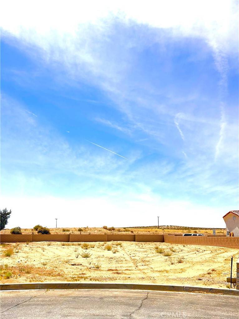 Helendale, CA 92342,26162 Balboa CT
