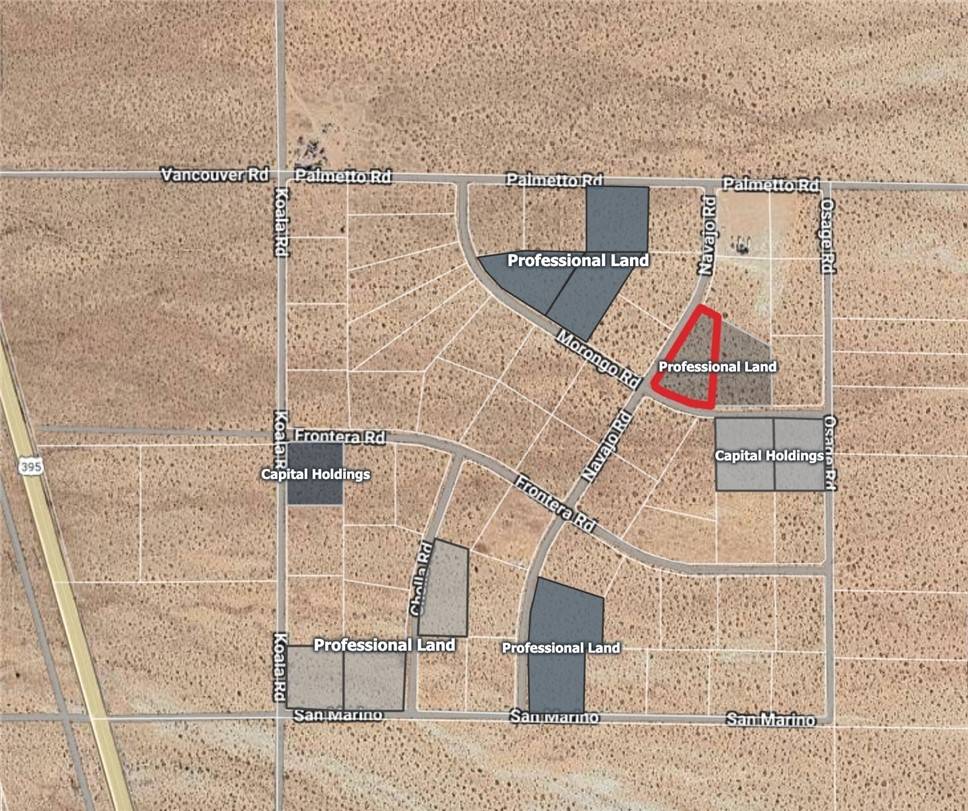 Helendale, CA 92342,0 Navajo RD