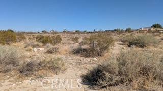 Pinon Hills, CA 92372,0 del rosa