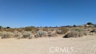 Pinon Hills, CA 92372,0 del rosa