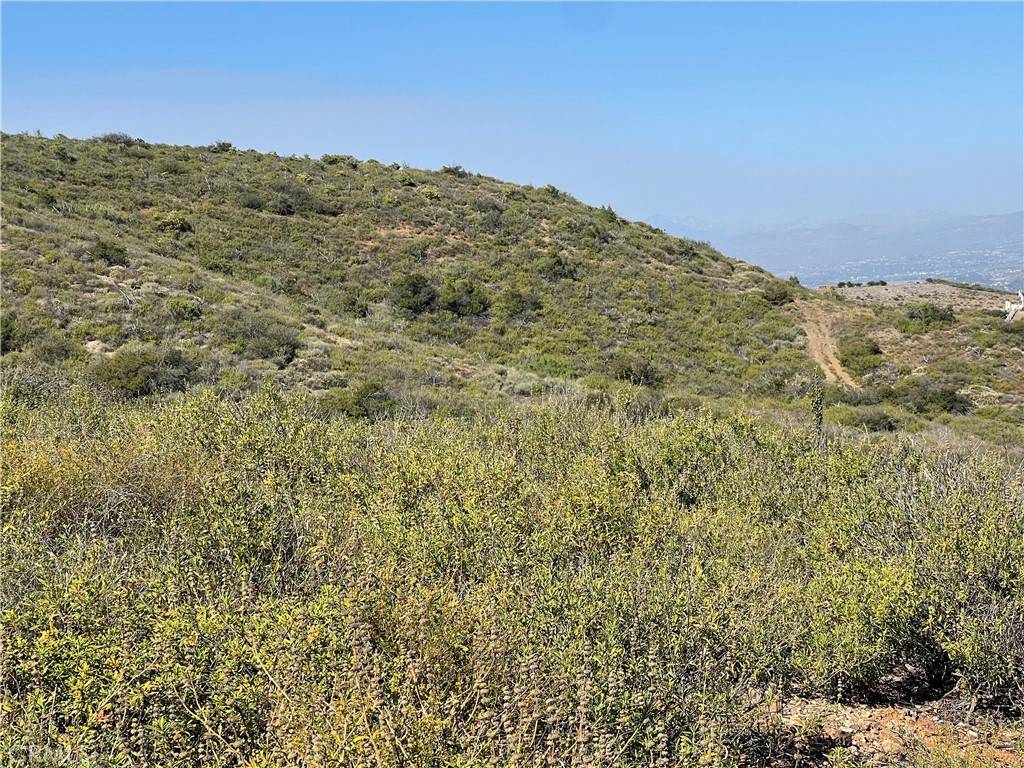 Temecula, CA 92590,0 Masako Circle