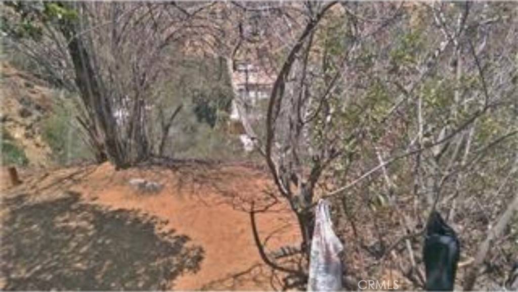 Los Angeles, CA 90046,8468 Elusive