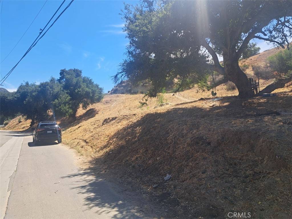 Val Verde, CA 91384,29227 Val Verde Rd