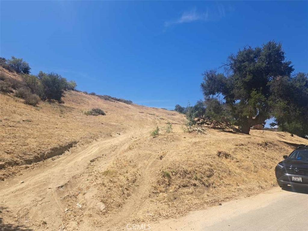 Val Verde, CA 91384,29227 Val Verde Rd