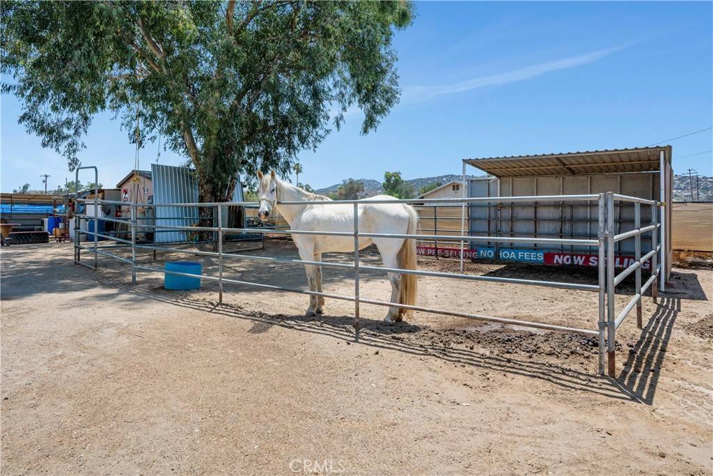 Nuevo, CA 92567,29905 Nuevo RD
