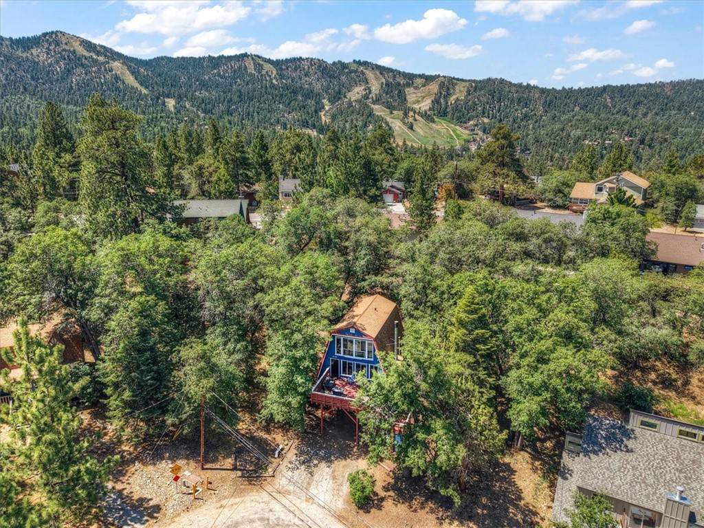 Big Bear City, CA 92314,1351 Silverado RD