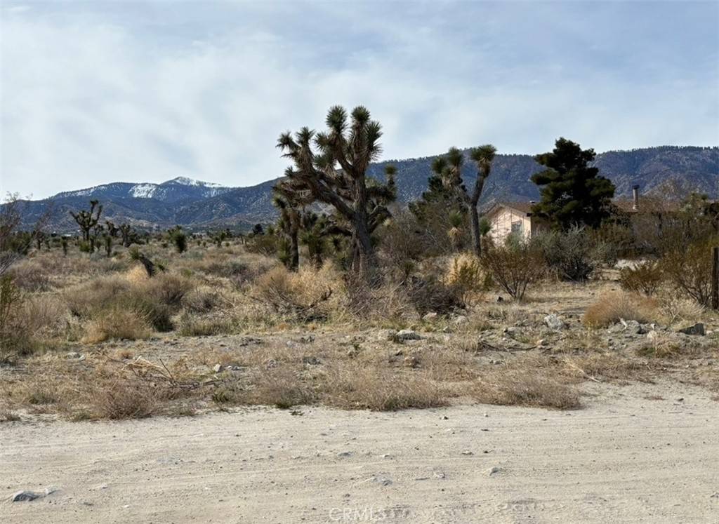 Pinon Hills, CA 92372,0 Mono RD