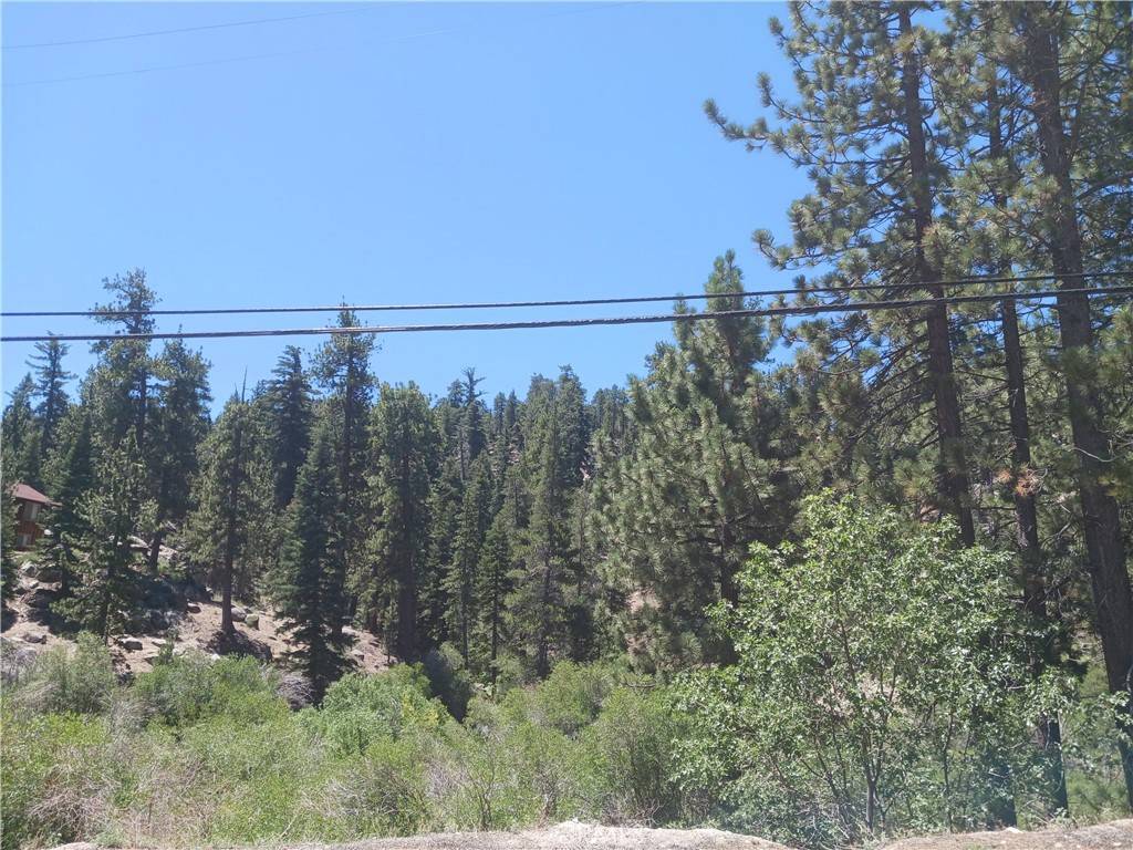 Big Bear Lake, CA 92315,0 Big Bear BLVD