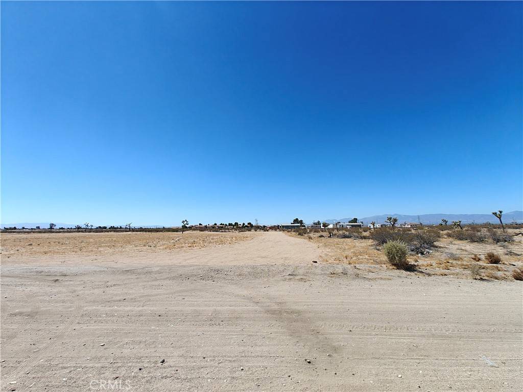 Adelanto, CA 92301,0 Juniper