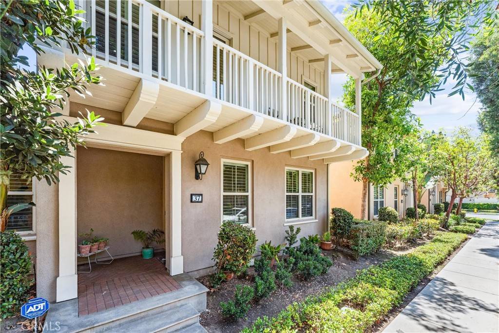 Irvine, CA 92618,37 Peony