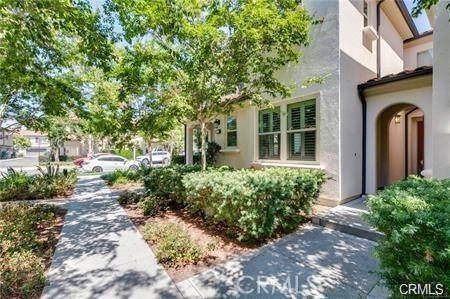 Lake Forest, CA 92630,16 Agave