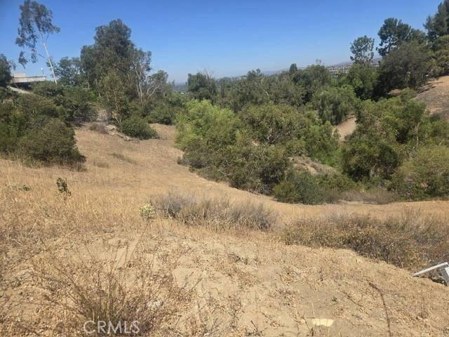 Anaheim Hills, CA 92808,309 PENNY LN