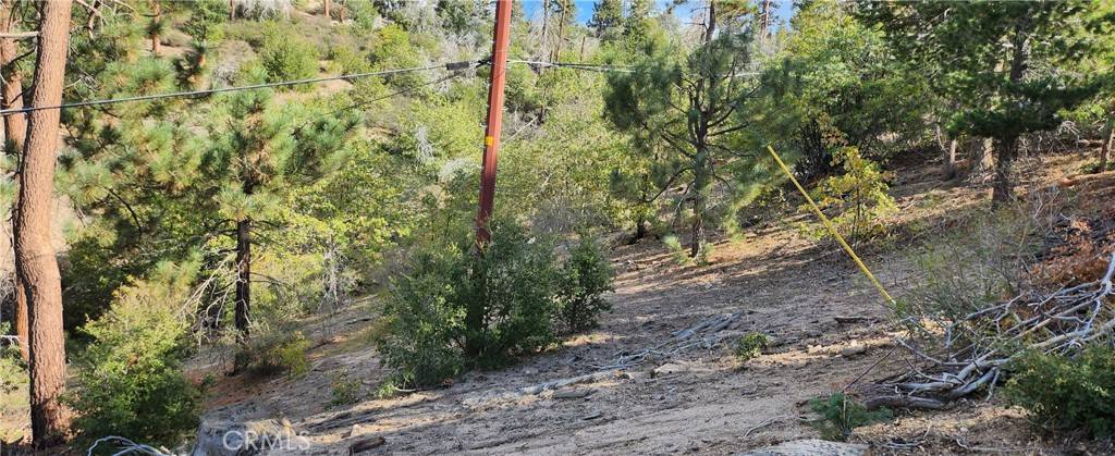 Green Valley Lake, CA 92341,0 TRAILS END RD