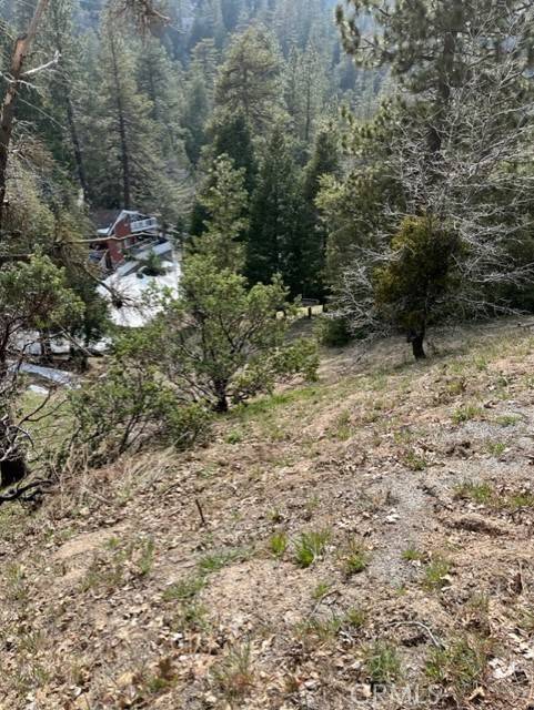 Crestline, CA 92391,818 Berne