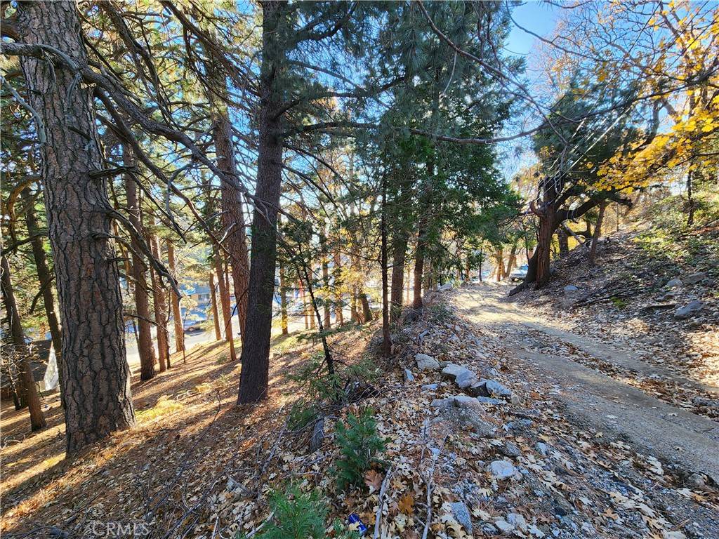 Rimforest, CA 92378,0 State Highway 18