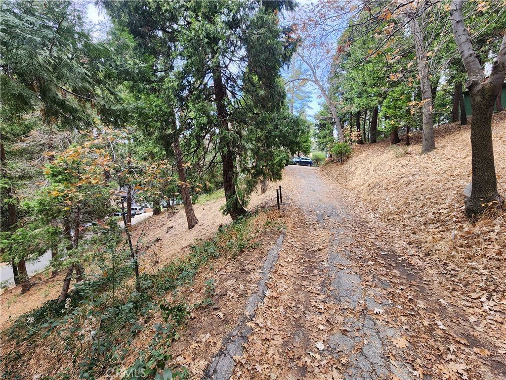 Crestline, CA 92325,0 Horst DR