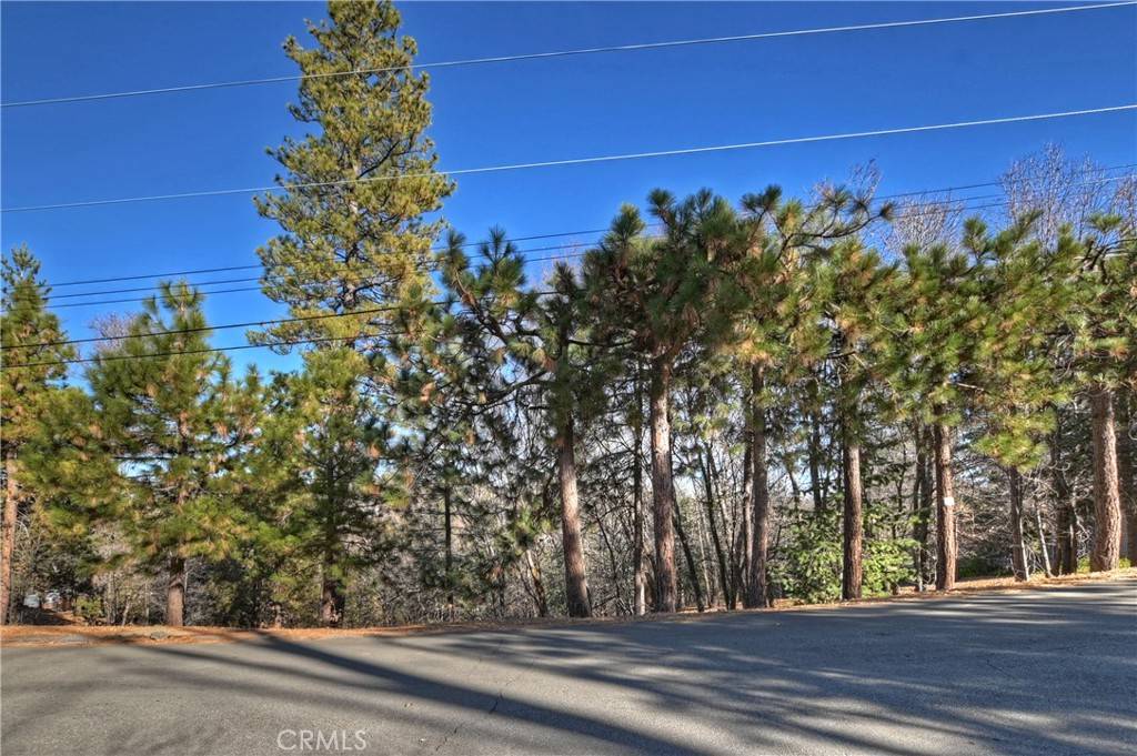 Lake Arrowhead, CA 92352,0 Lucerne LN
