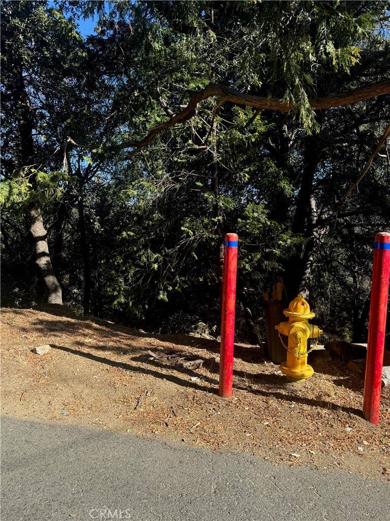 Crestline, CA 92325,267 Wylerhorn DR