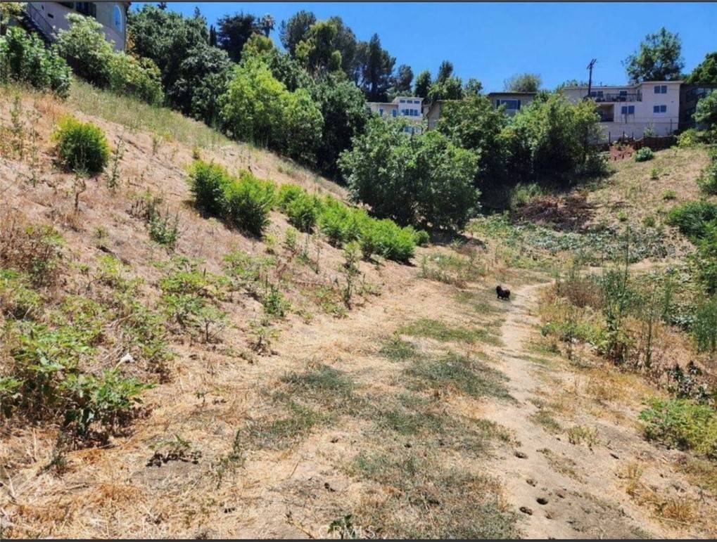Los Angeles, CA 90065,3820 Barryknoll Dr