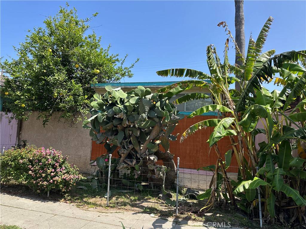 Venice, CA 90291,1139 Cabrillo AVE