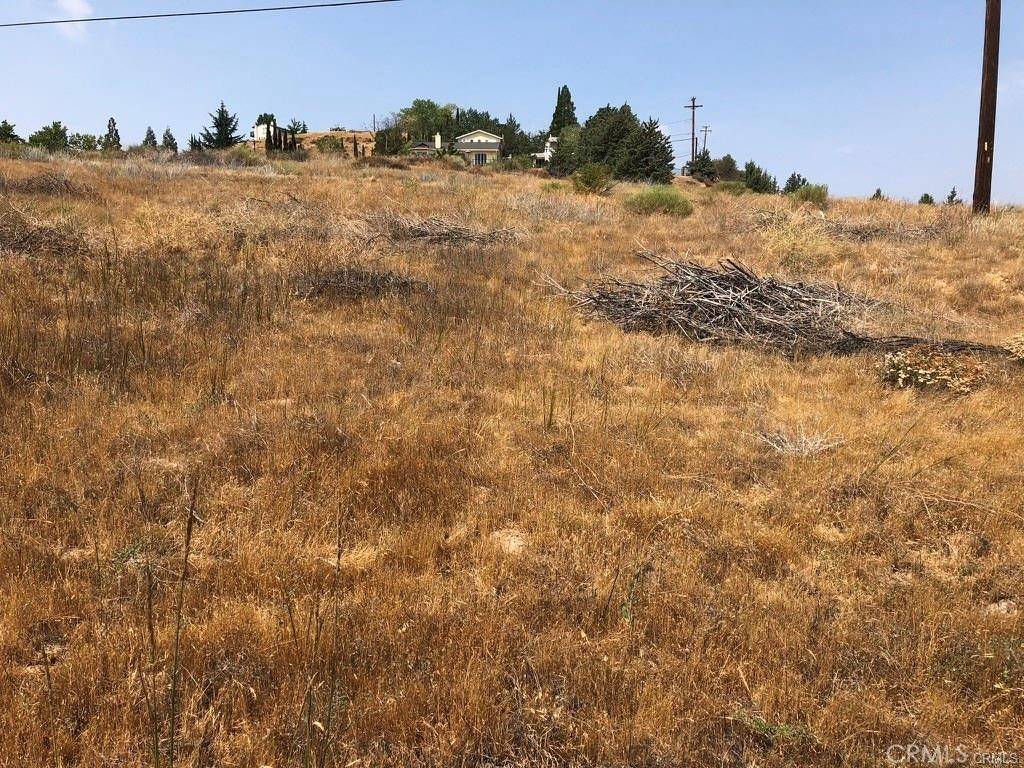 Lake Hughes, CA 93532,0 Elizabeth Lake RD