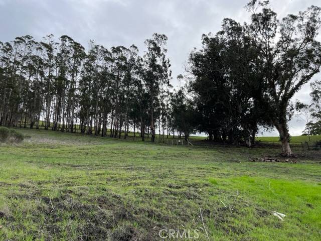 Morro Bay, CA 93442,650 Sequoia CT