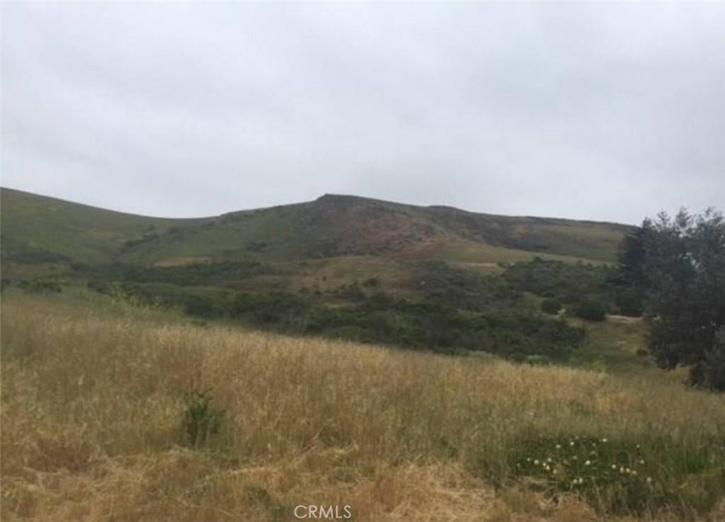 Cayucos, CA 93430,0 Herbert AVE