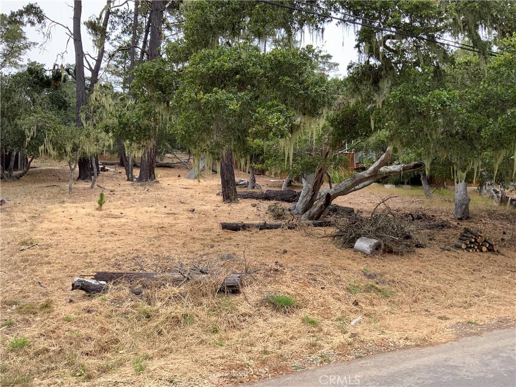 Cambria, CA 93428,0 Randall DR