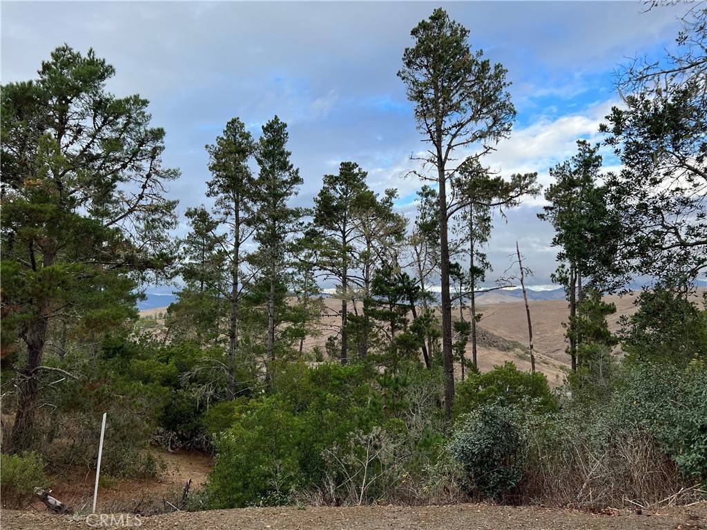 Cambria, CA 93428,1925 Arliss DR