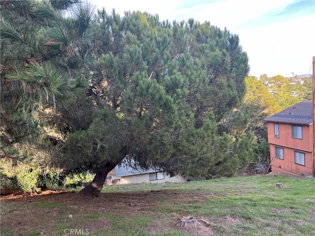 Cambria, CA 93428,0 Worcester