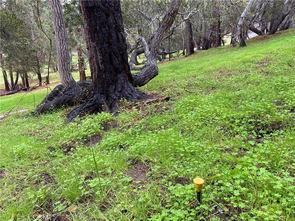 Cambria, CA 93428,0 Kenneth