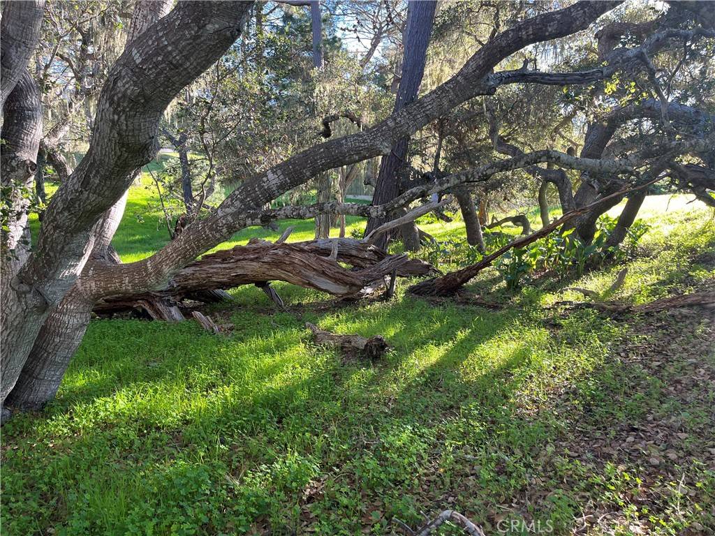 Cambria, CA 91716,3 Astor AVE